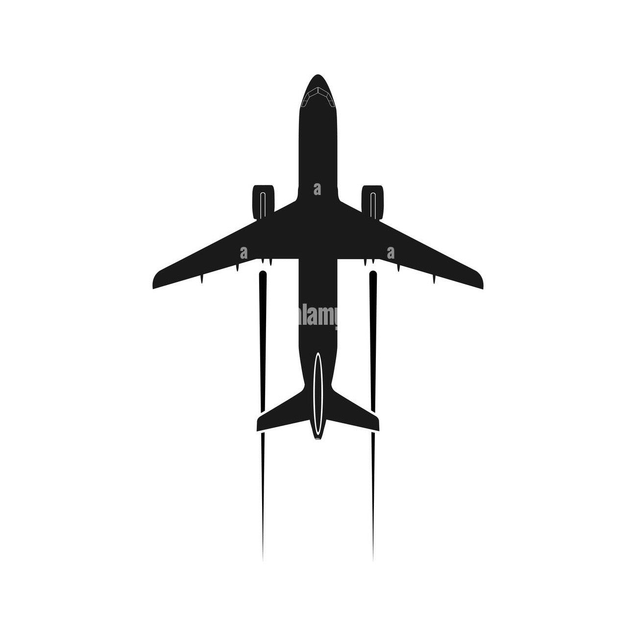 FEDEX EXPEDITED SHIPPING FEE